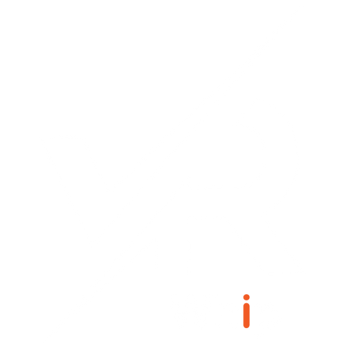 VR Whip